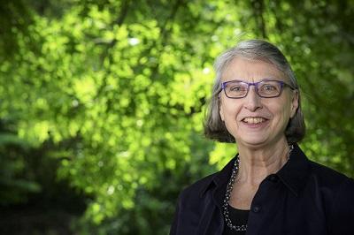 Approved Clinical Supervisor Online Training (45-Hour Program)